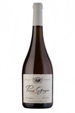 Specogna - Pinot Grigio Ramato 2023